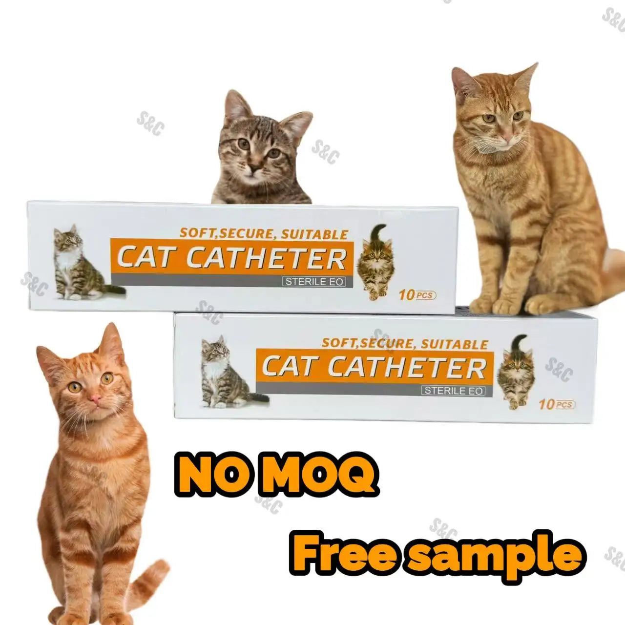 Disposable Veterinary Cat Catheter – 0.8mm / 1.0mm / 1.3mm Sizes | Latex-Free, Sterile, No Stylet | For Safe Feline IV Access & Clinical Use