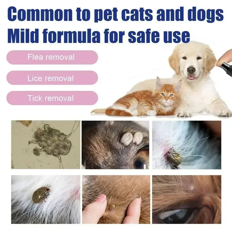 Pet Flea & Tick Spray for Cats & Dogs – 100ml Natural Repellent with Lice Protection | Soothes Skin, Relieves Itching & Cleans Externally