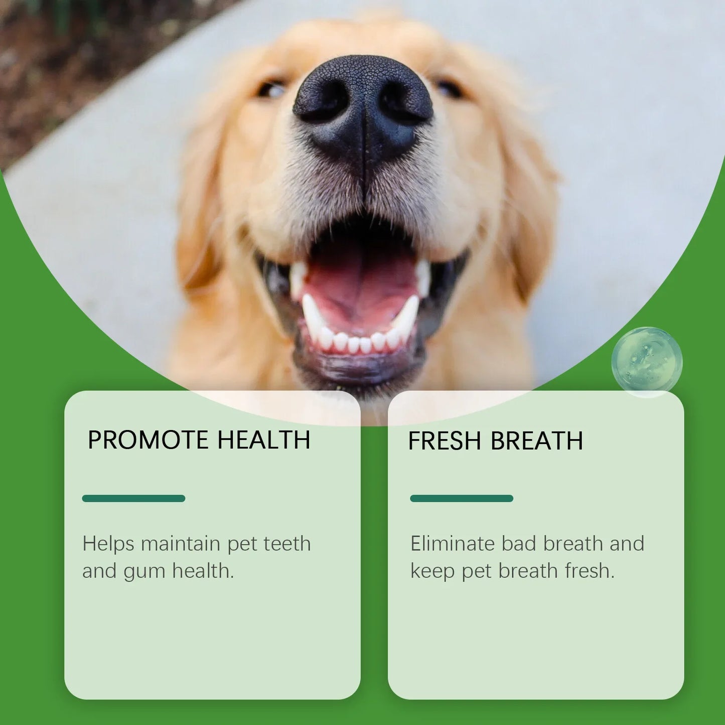Plaque Off Pet Dental Powder – Teeth Cleaning & Oral Care for Cats & Dogs