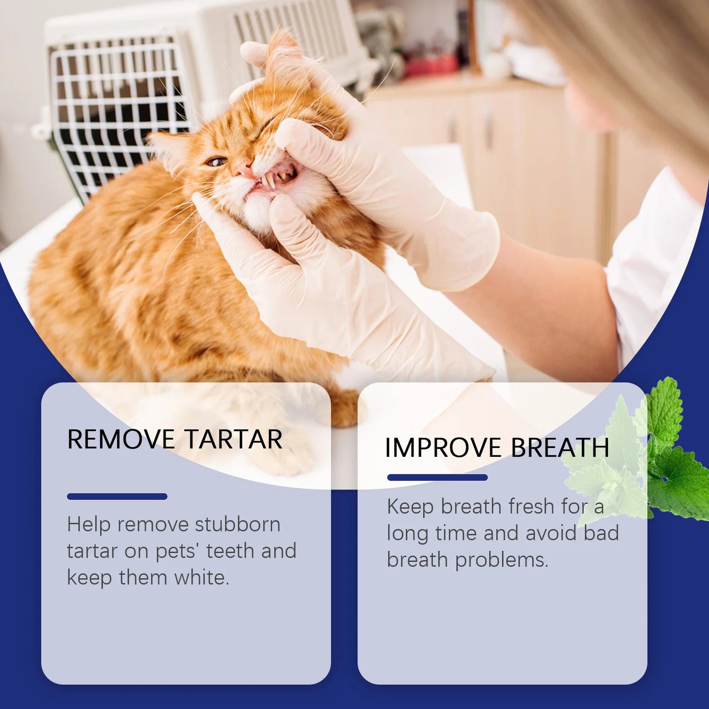 YEGBONG Pet Dental Powder – Teeth Cleaning & Bad Breath Treatment for Dogs & Cats (40g)