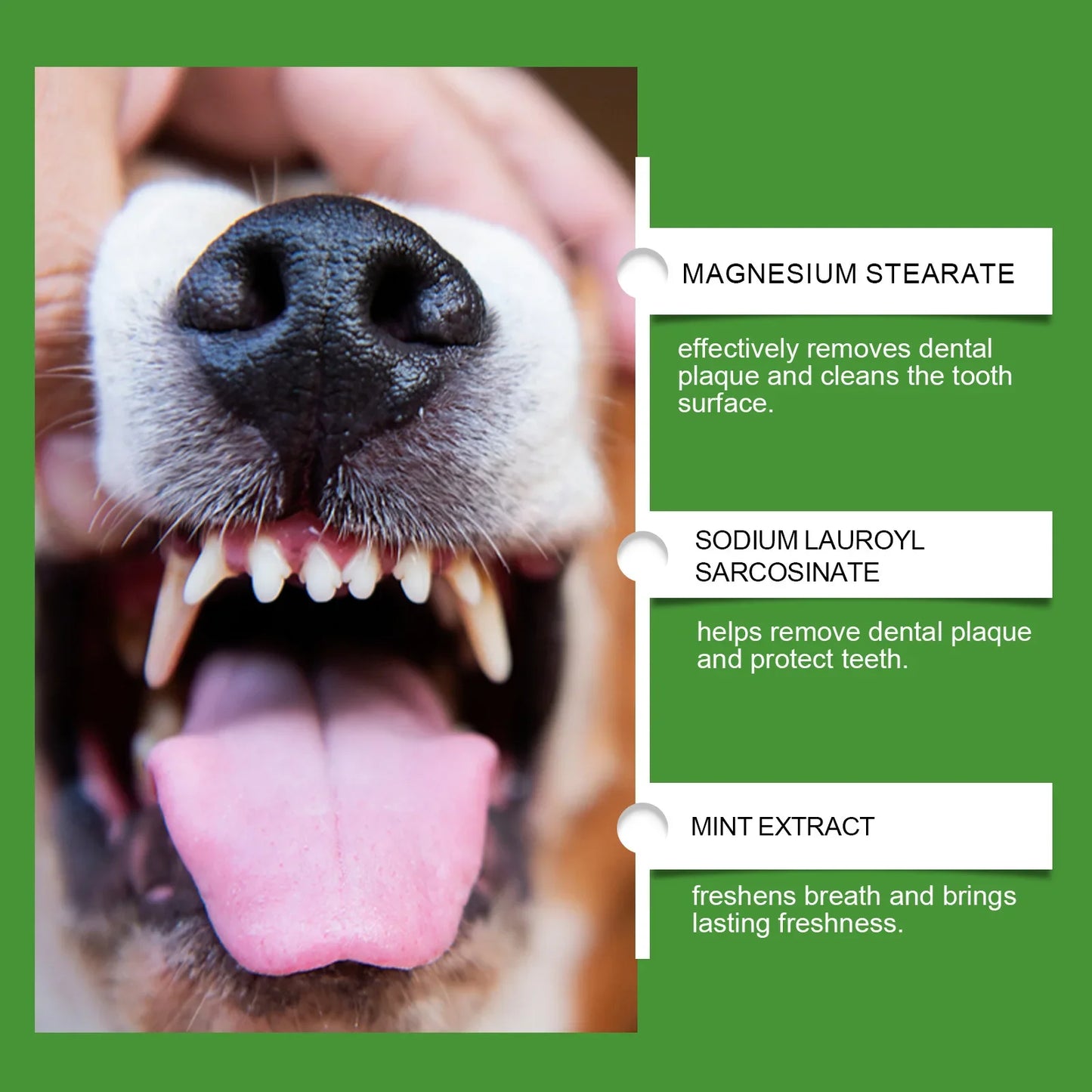 Plaque Off Pet Dental Powder – Teeth Cleaning & Oral Care for Cats & Dogs