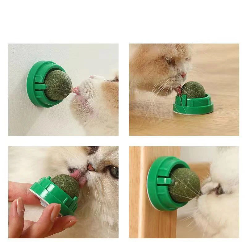 Catnip Wall Stick-On Toy with Hanging Ball & Natural Cat Grass Treats ā Interactive Scratcher for Play, Exercise & Digestive Health