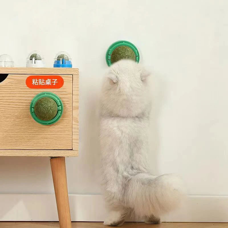 Catnip Wall Stick-On Toy with Hanging Ball & Natural Cat Grass Treats ā Interactive Scratcher for Play, Exercise & Digestive Health