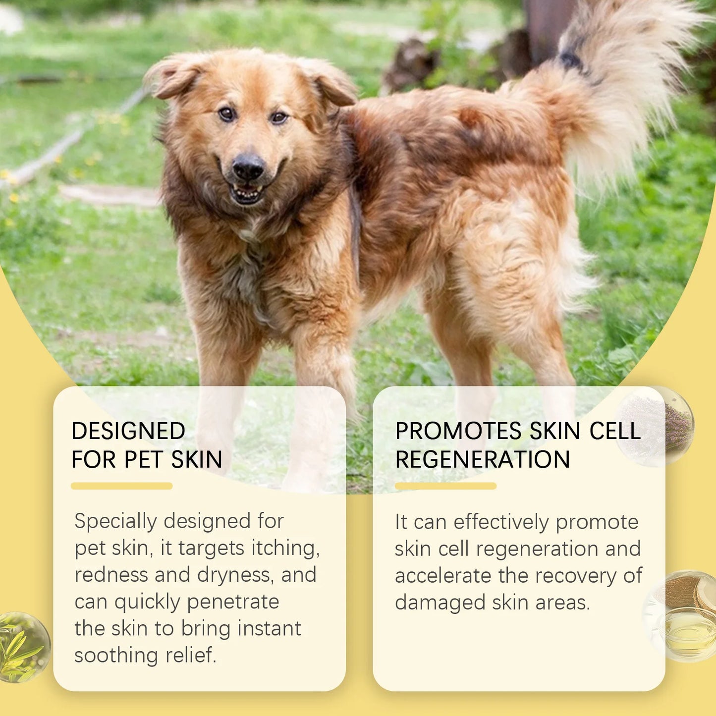 YEGBONG Pet Skin Care Spray – 30ml Soothing Relief for Dogs & Cats | Moisturizes Dry, Itchy Skin & Calms Irritation | Gentle Formula for Daily Use