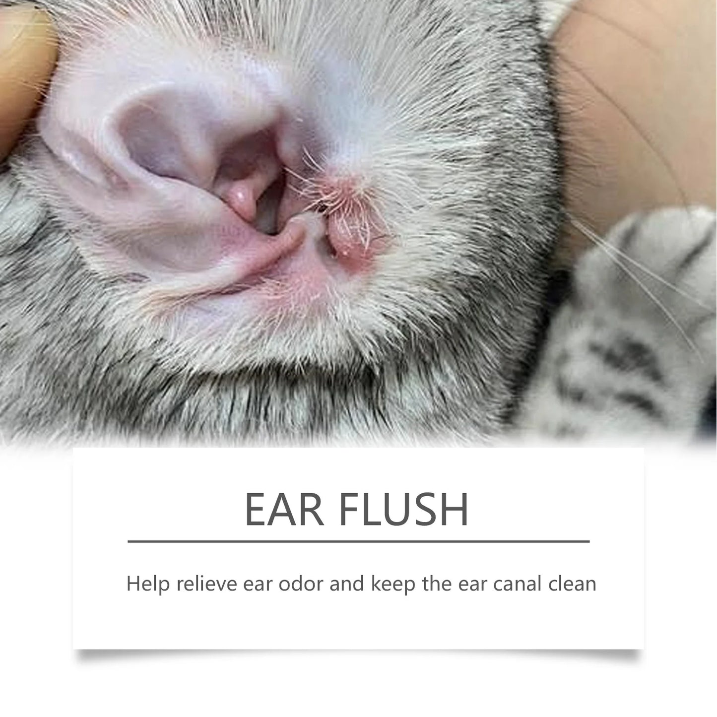 Pet Ear Cleaner for Cats & Dogs – 100ml for Ear Mites, Itch & Odor Relief