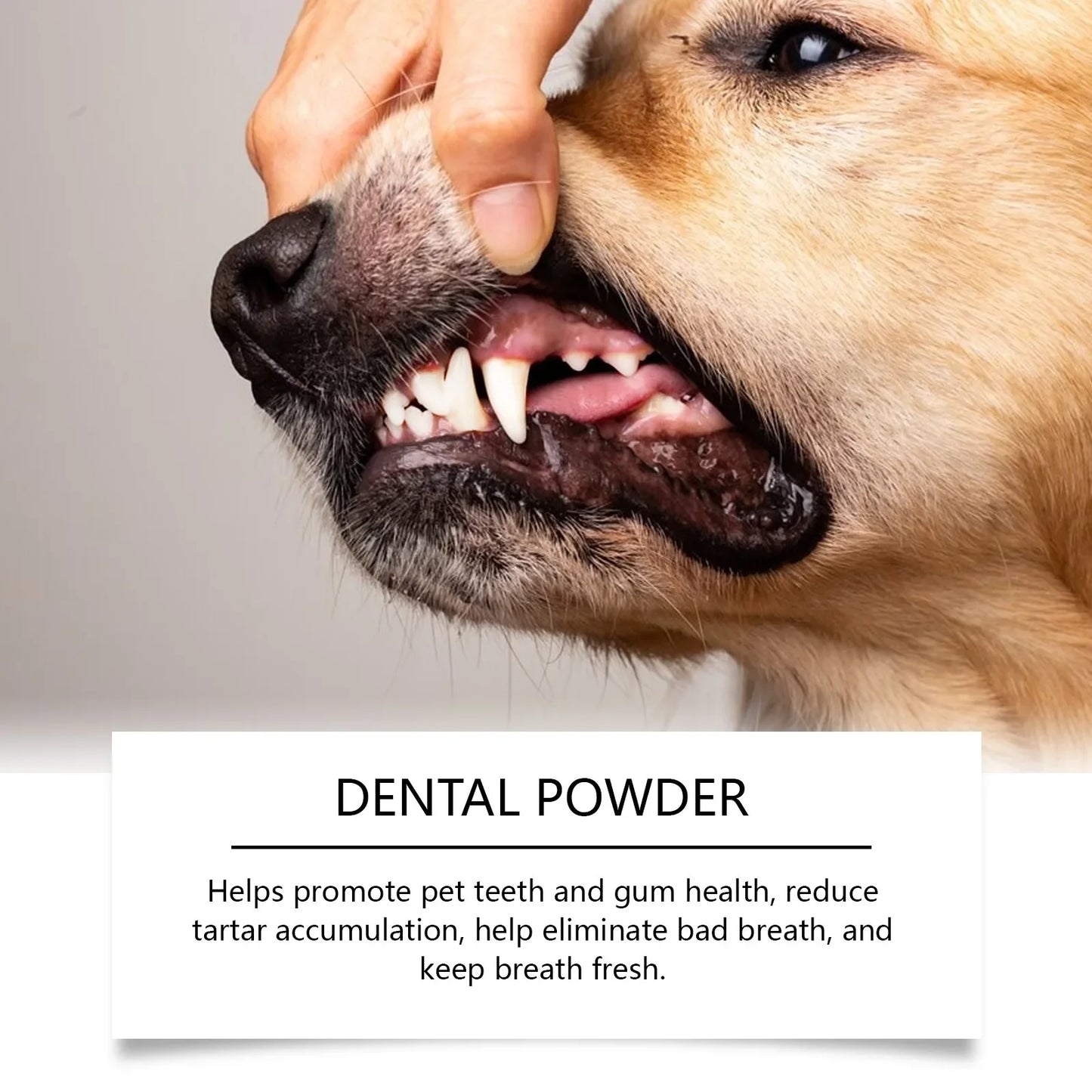 Plaque Off Pet Dental Powder – Teeth Cleaning & Oral Care for Cats & Dogs