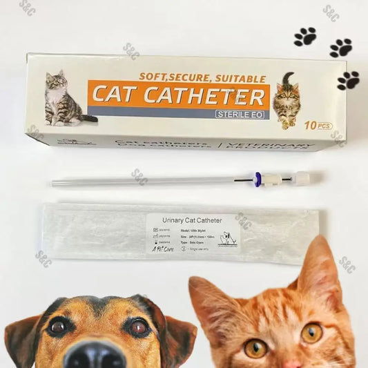 Disposable Veterinary Cat Catheter – 0.8mm / 1.0mm / 1.3mm Sizes | Latex-Free, Sterile, No Stylet | For Safe Feline IV Access & Clinical Use
