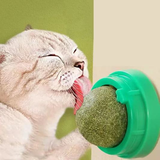Catnip Wall Stick-On Toy with Hanging Ball & Natural Cat Grass Treats – Interactive Scratcher for Play, Exercise & Digestive Health